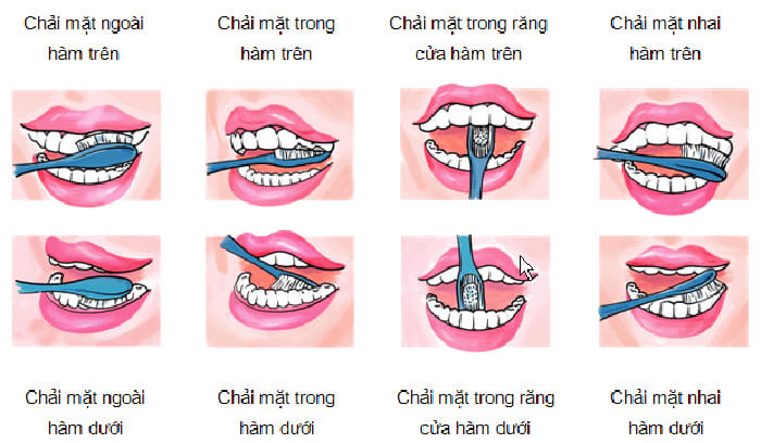 Danh-rang-dung-cach-va-nhung-luu-y-trong-khi-danh-rang-202201181507006202